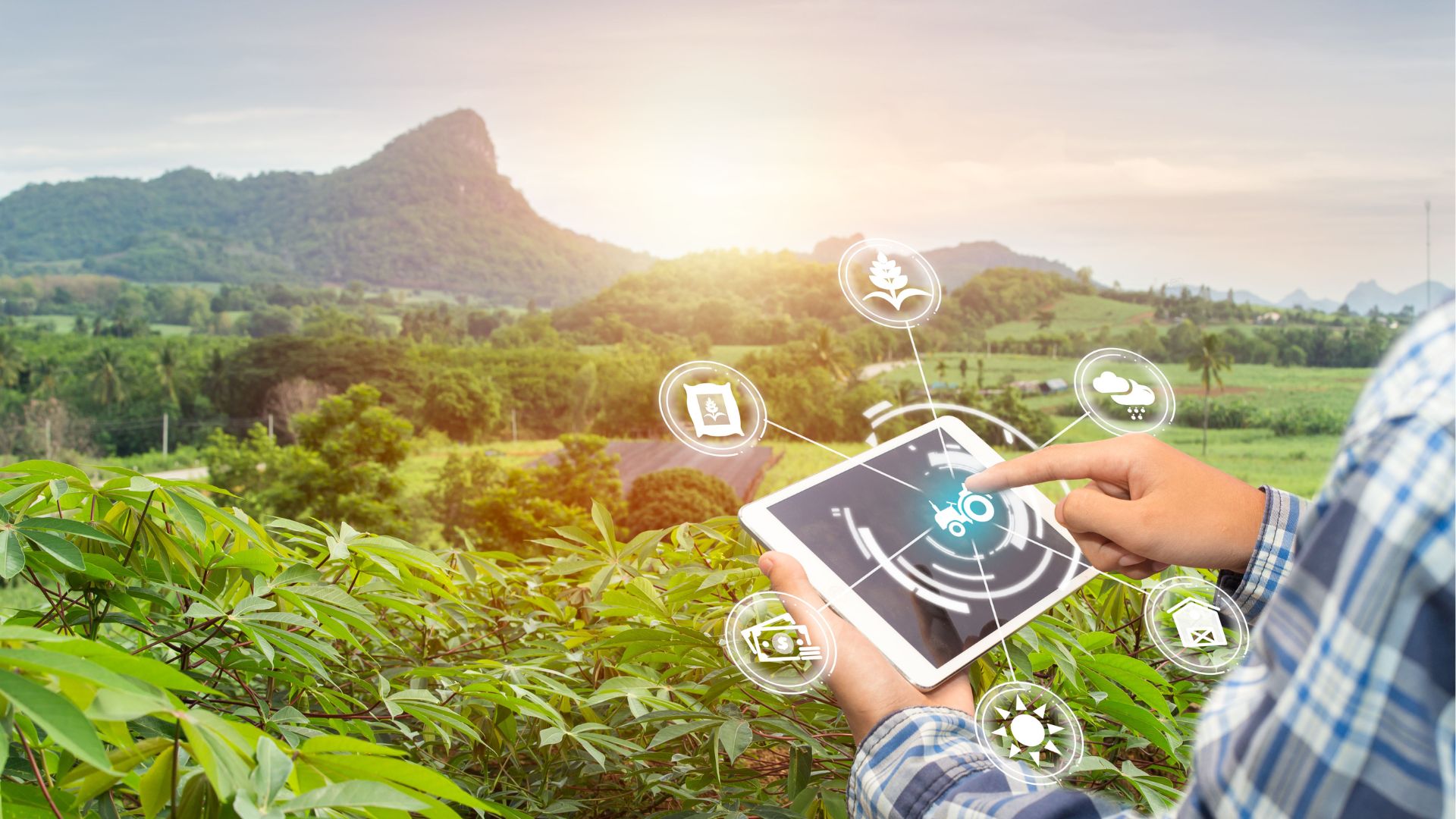 Contoh Workflow Digital untuk Efisiensi Operasional Pertanian